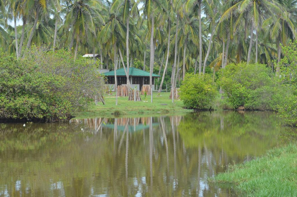 Aqua Front Yala Resort Kirinda  Luaran gambar